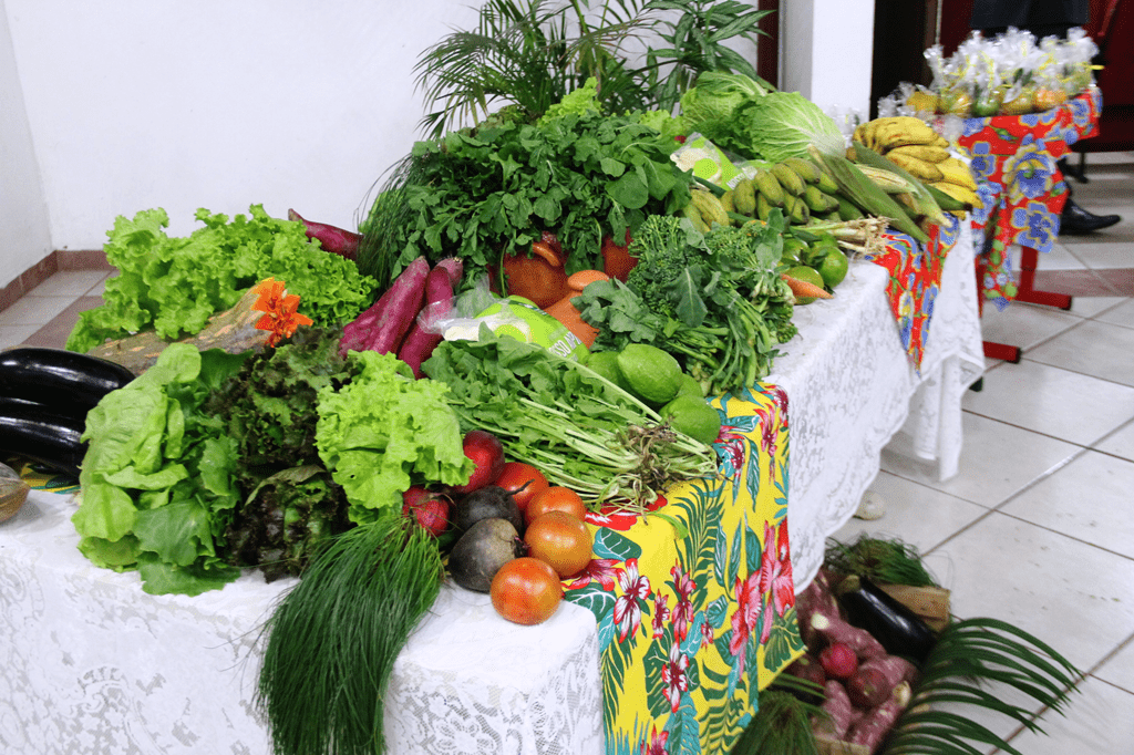 Produtos da agricultura familiar de Biguaçu