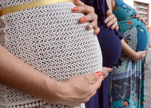 Foto Jaqueline Noceti - Arquivo Secom