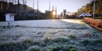 Frio intenso: Epagri recomenda práticas para mitigar prejuízos nos cultivos