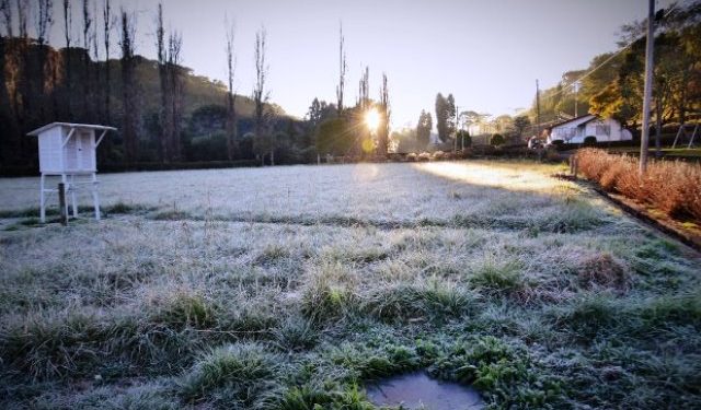 Frio intenso: Epagri recomenda práticas para mitigar prejuízos nos cultivos