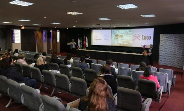 Rede Laço e Fapesc promovem capacitação para projetos inovadores e captação de recursos para Terceiro Setor
