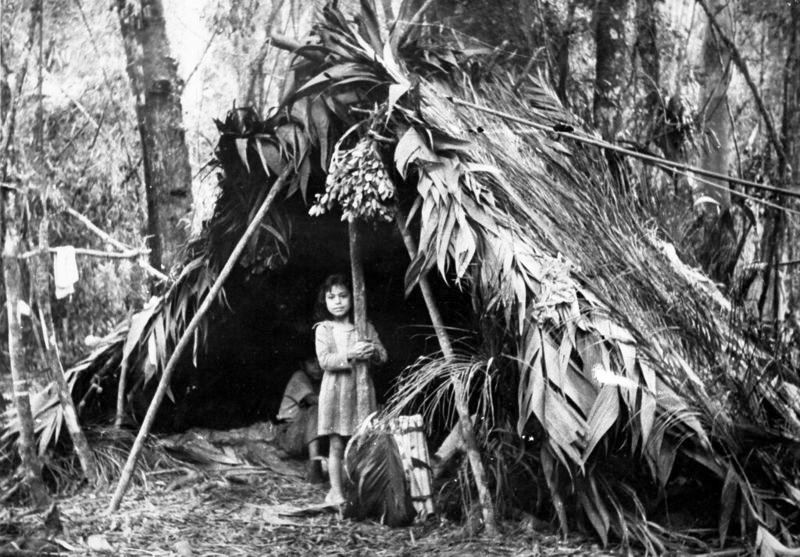ACERVO SCS, Criança xokleng em acampamento na floresta, em 1963