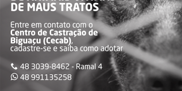 Vigilância de Zoonoses e Centro de Castração de Biguaçu criam cadastro para adoção de animais resgatados de situação de maus tratos