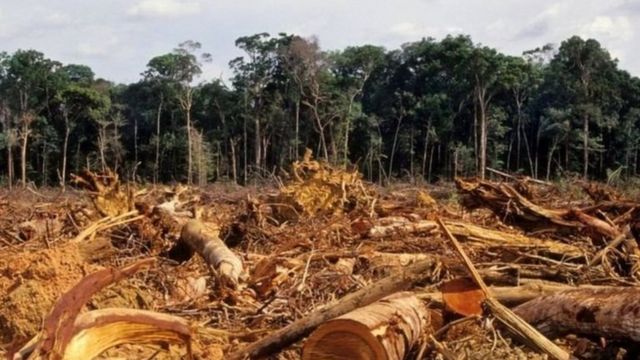 CRÉDITO,GETTY IMAGES, Dados do Inpe mostram aumento no desmatamento na Amazônia em outubro de 2021 em comparação com o ano passado.