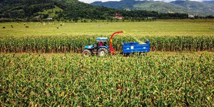 Agricultores de Biguaçu
