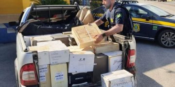PRF apreende 360 garrafas de vinho importadas irregularmente na BR 101 em Biguaçu