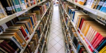 Governo do Estado anuncia processo seletivo para contratação de profissionais da Educação