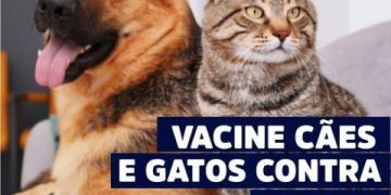 Vacine cães e gatos contra a raiva