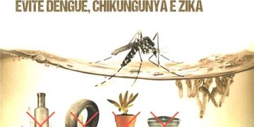 Aedes Aegypti