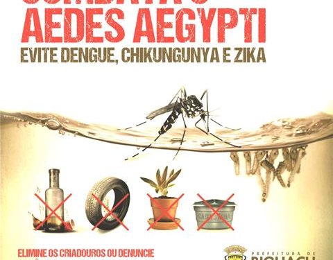 Aedes Aegypti