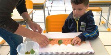 Inicio de Período Integral