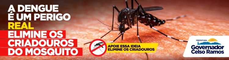 Dengue é um perigo real