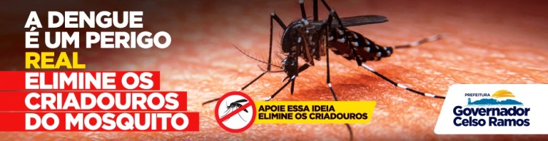 Dengue é um perigo real