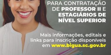 Professor II e Estágiários