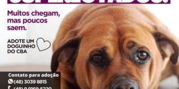 O CBAGCR informa que atingiu a superlotação