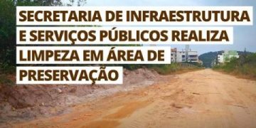 Limpeza em área de Preservação