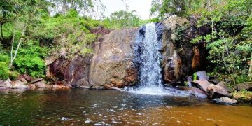 Vereadores mirins de Biguaçu farão um passeio pela trilha da Cachoeira da Buraca