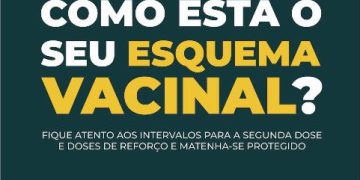 esquema vacinal