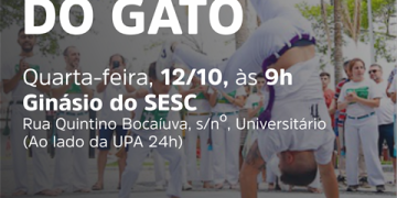 o pulo do gato