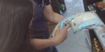 PEMQSA