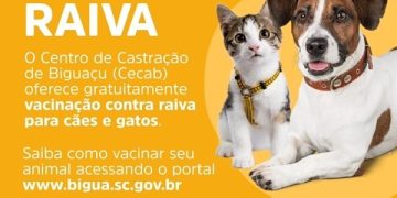 (CECAB) Centro de Castração de Biguaçu disponibiliza vacina contra a Raiva