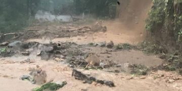 Chuvas no litoral de São Paulo causam destruição e deixam dezenas de mortos