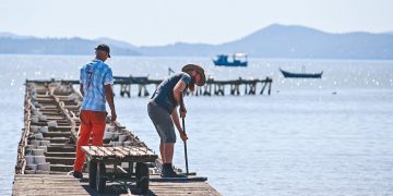 Obras Trapiche Municipal 1