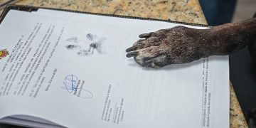 Biguaçu ganha departamento de bem estar animal