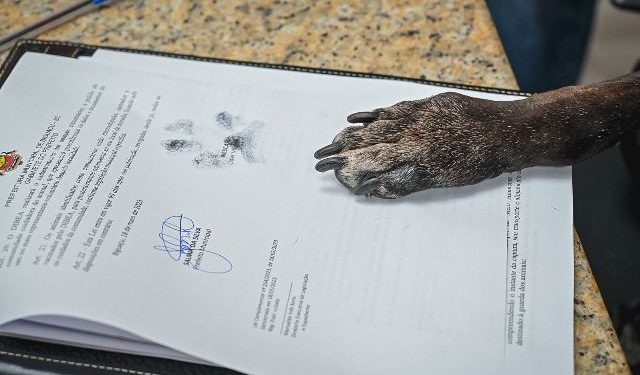 Biguaçu ganha departamento de bem estar animal