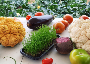 Cidasc celebra o Dia Internacional da Sanidade Vegetal