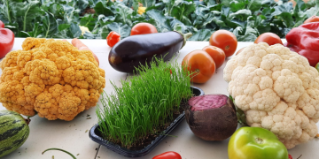 Cidasc celebra o Dia Internacional da Sanidade Vegetal