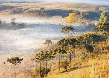 Paisagem amanhece branca da geada na Serra Catarinense ´vale do Caminhos da Neve