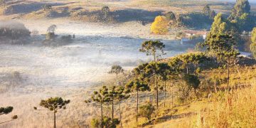 Paisagem amanhece branca da geada na Serra Catarinense ´vale do Caminhos da Neve