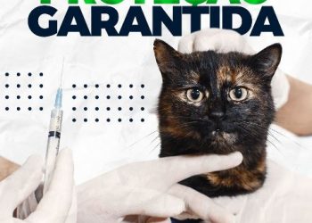 Proteção garantida para os patudos! Cecab