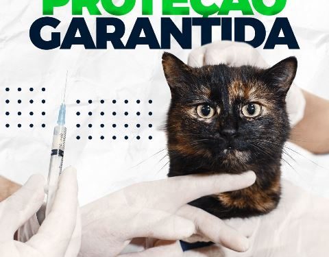 Proteção garantida para os patudos! Cecab