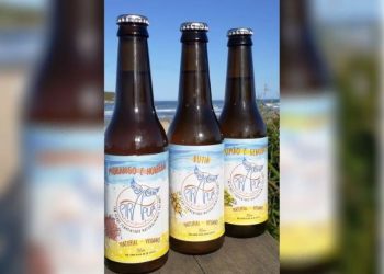 kombucha