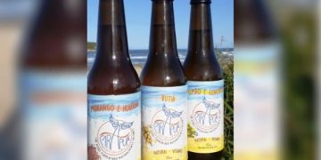 kombucha