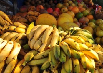 Índice de Custo de Vida ICV da Udesc aponta deflação no preço dos alimentos