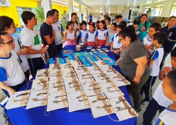 Semana Inclusiva 2023 tem atividades em escolas e mostra de arte e artesanato da Escola de Educação Especial