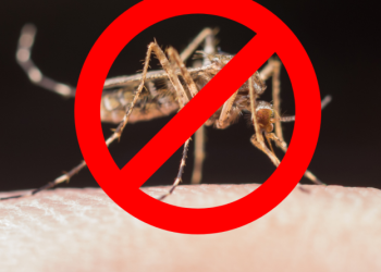 Governador Celso Ramos lança Plano de Contingência para enfrentamento à Dengue e demais doenças transmitidas pelo Aedes