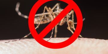 Governador Celso Ramos lança Plano de Contingência para enfrentamento à Dengue e demais doenças transmitidas pelo Aedes