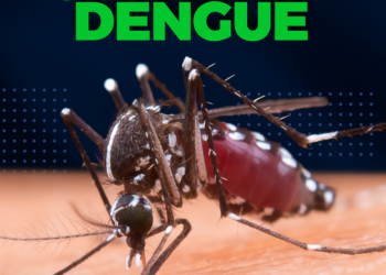 Dengue: Secretaria Municipal de Saúde faz alerta à população