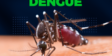 Dengue: Secretaria Municipal de Saúde faz alerta à população