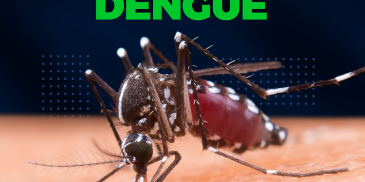 Dengue: Secretaria Municipal de Saúde faz alerta à população
