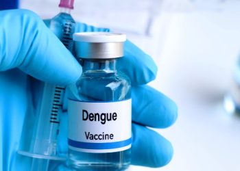 Confira o que se sabe até agora sobre a vacina contra a dengue no SUS