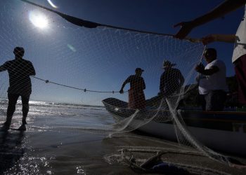 Retrospectiva 2023: setor de Aquicultura e Pesca de Santa Catarina fecha o ano com ações de destaque