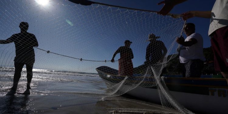Retrospectiva 2023: setor de Aquicultura e Pesca de Santa Catarina fecha o ano com ações de destaque