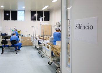 Aumento de casos de dengue gera preocupação em Santa Catarina com mais de 200 internações em 2024