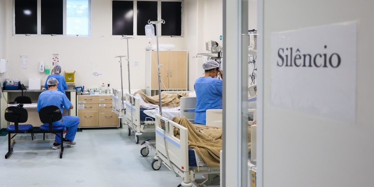 Aumento de casos de dengue gera preocupação em Santa Catarina com mais de 200 internações em 2024