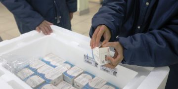 Dengue em SC - remessa com 29 mil doses da vacina contra a doença chega ao estado